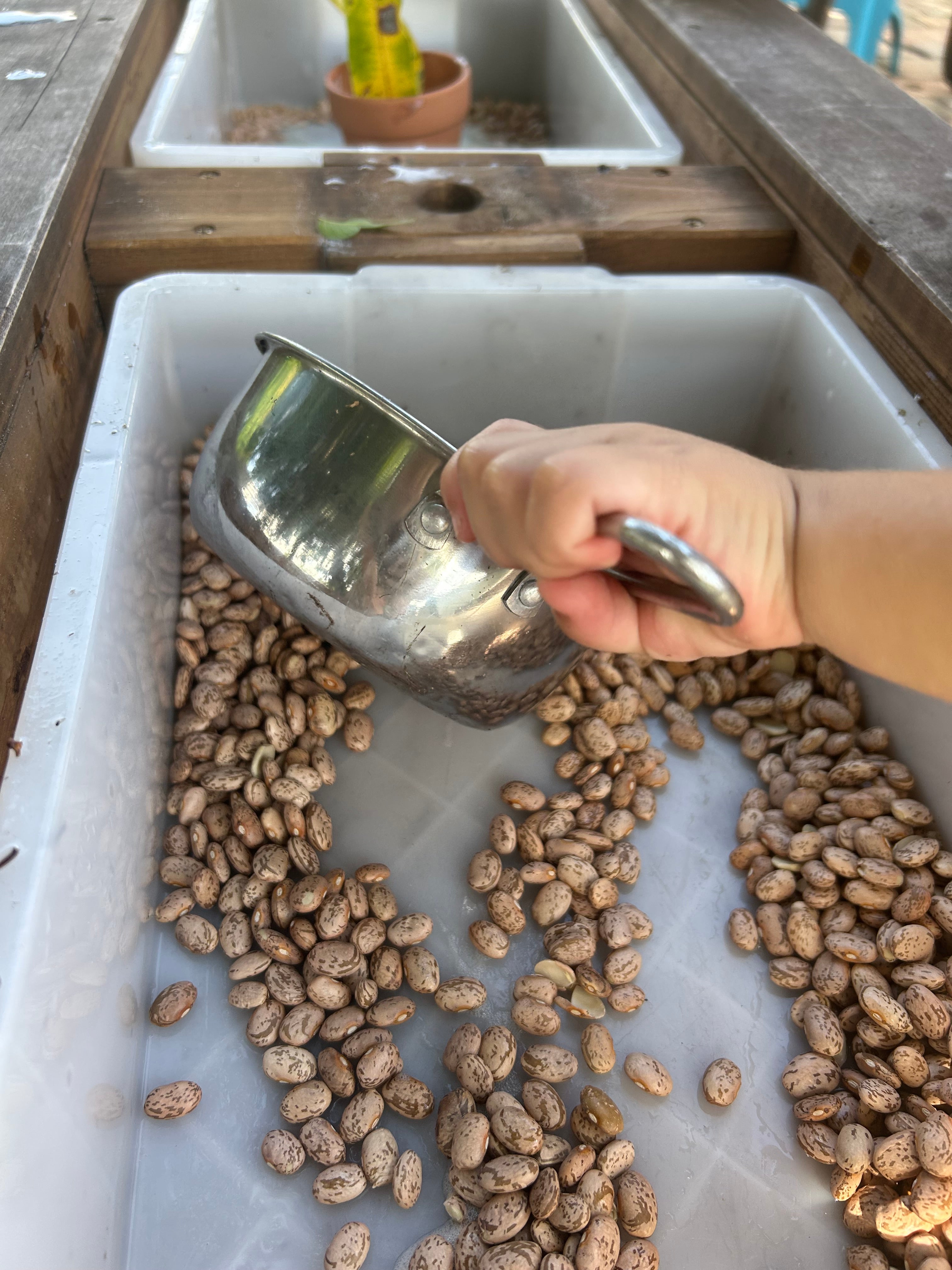 Parable of the Sower | Parables of Jesus