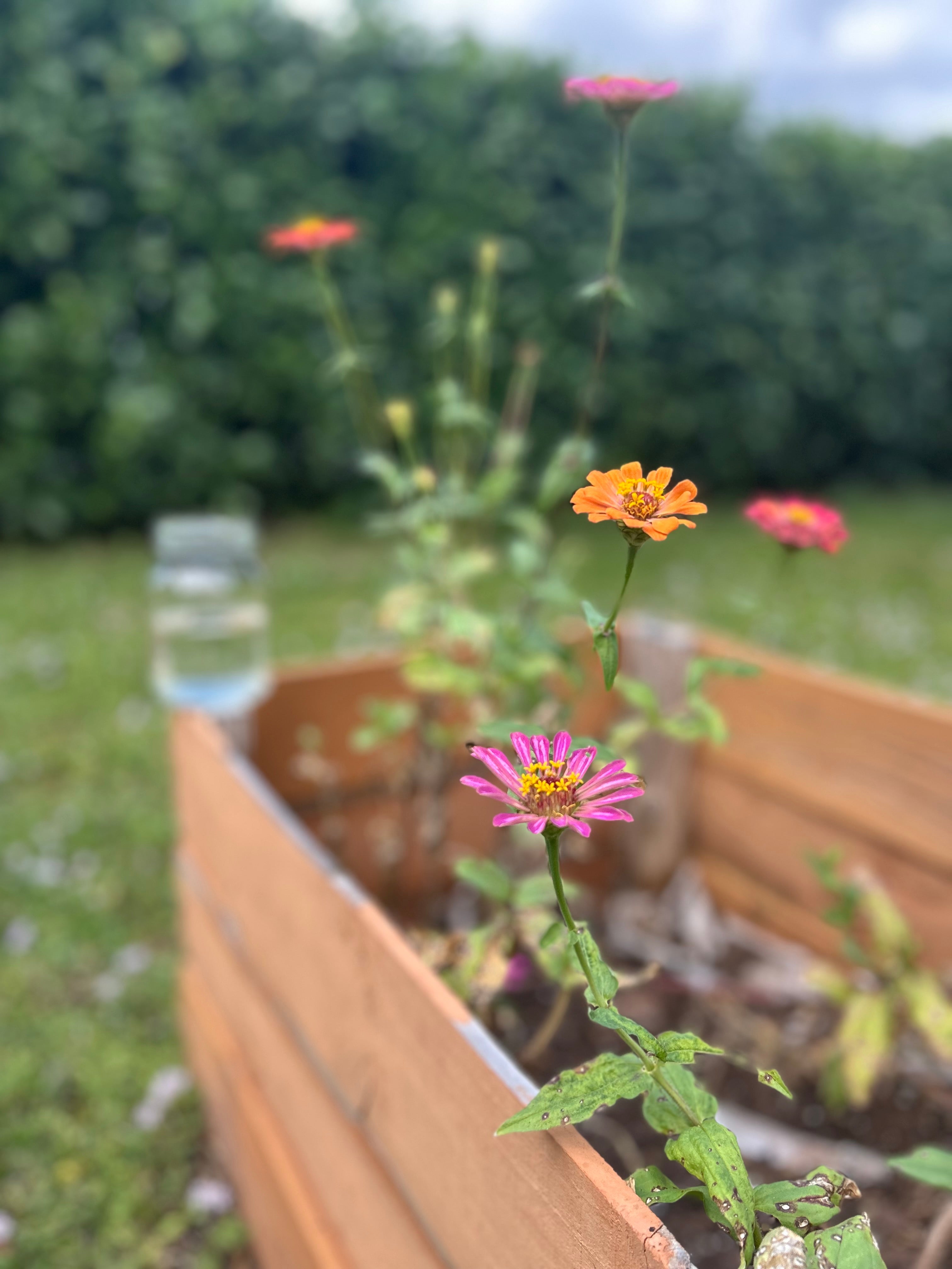 Welcome to Sweeter than Honey | Equipping Parents to Disciple Their Little Ones